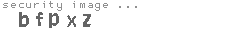 security image