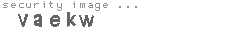 security image