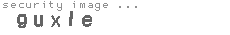 security image