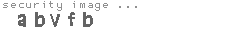 security image