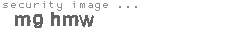 security image