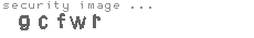 security image