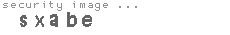security image