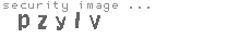 security image