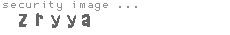 security image