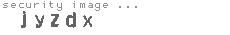 security image