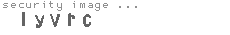 security image