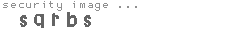 security image
