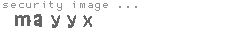 security image