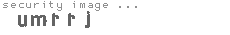 security image