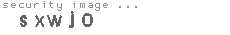 security image