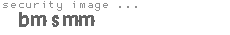 security image