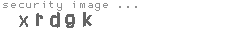 security image