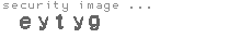 security image