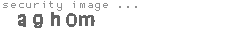 security image