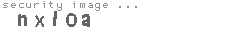 security image