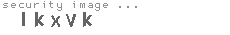 security image