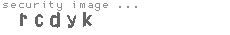 security image