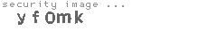security image