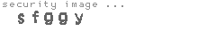 security image