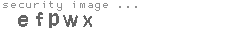 security image