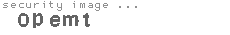 security image
