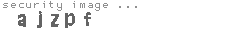 security image