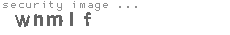 security image