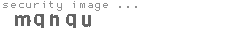 security image
