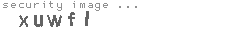 security image