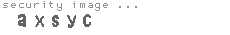security image
