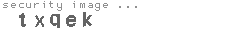 security image