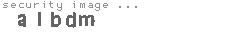 security image