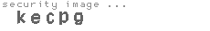 security image