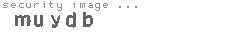 security image