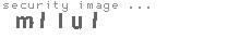 security image