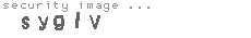 security image