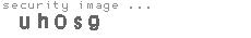 security image