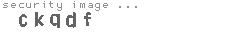 security image