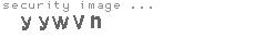 security image