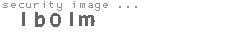 security image