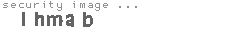 security image