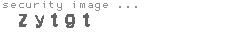 security image