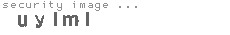 security image