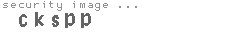 security image