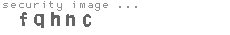 security image