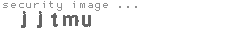 security image