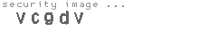security image