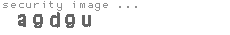 security image