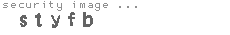 security image